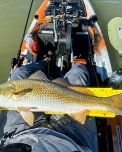 Crosby fishing adventure