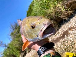 A scenic fishing trip in TX