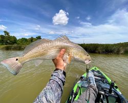 Redfish caught in Crosby