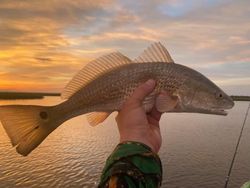Redfish caught in Crosby