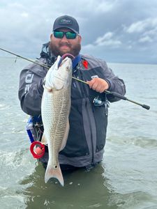 Redfish caught while fishing in TX