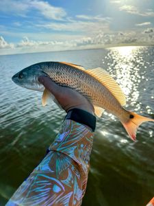 Redfish caught in Crosby