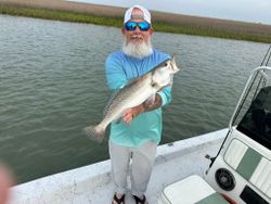 A lone spotted weakfish caught in TX