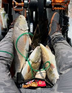 Three fishing rods on the shore in Crosby