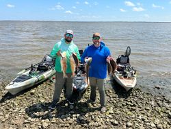 3 redfish caught in Crosby