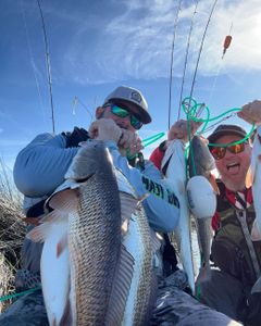 Two redfish caught in Crosby