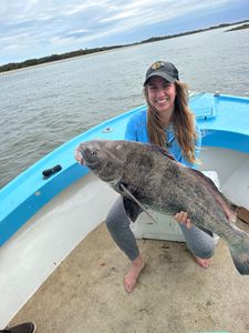 Fishing Near Savannah GA-Black Drum