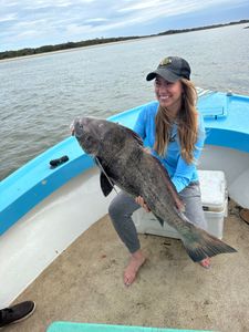 Fishing Near Savannah GA-Black Drum