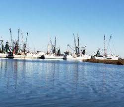 ￼ Shrimp boats