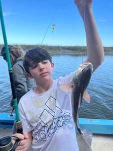 Best Fishing Spots In Savannah GA-Red Drum