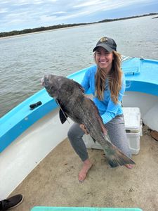 Fishing Near Savannah GA-Black Drum