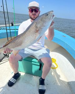 Saltwater Fishing In Georgia