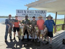 Anglers caught 7 black drum fish in Darien