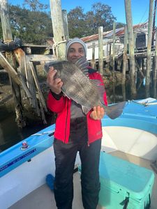 Photo of a Black Drum, a 20-inch fish, caught while fishing in Darien