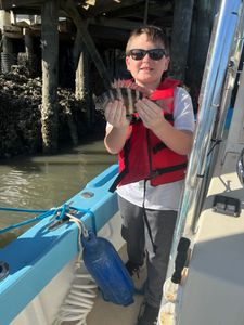Two sheepshead fish caught fishing in GA