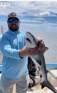 A lone fisherman casting his line in the waters of Darien