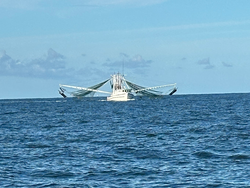 Partly cloudy skies set the stage for epic deep sea adventures in Darien!