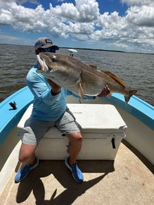 Scenic landscape with mountains in Darien