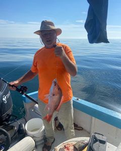 One fisherman catching a fish in Darien