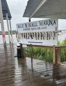 A scenic view of the Darien location with fishing gear