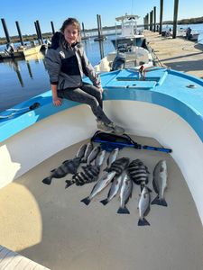 Five redfish and sheepshead caught in Darien, Georgia