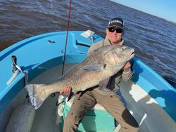 Freshwater Drum fish caught in GA