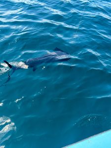 Fishing adventure in GA