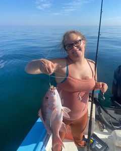 A fisherman holding a grey snapper fish in Darien