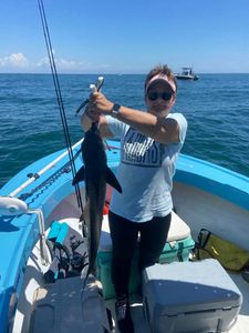 Hardhead Sea Catfish caught in Darien