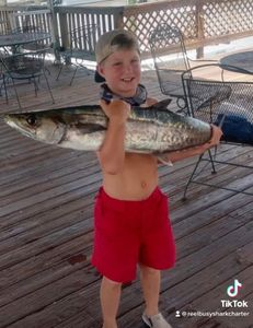 King Mackerel, 12-inch fishing catch in Darien