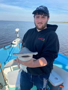 A lone fisherman in Darien reeling in a catch