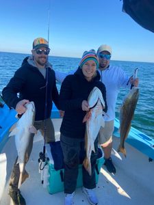 Three hardhead sea catfish and redfish caught fishing in GA