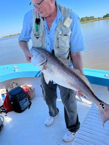 Redfish caught in Darien
