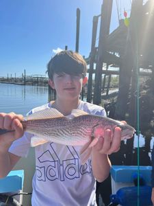 A redfish caught in Darien while fishing
