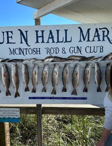 9 redfish caught fishing in GA