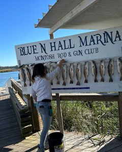 Four redfish caught in Darien