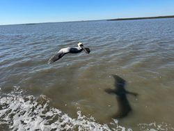 Scenic view of Darien fishing location