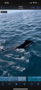 Scenic landscape of Darien