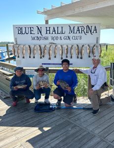 Sheepshead fish caught by 4 people in GA