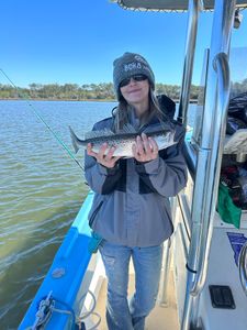 Spotted Weakfish, 15 inches, fishing in GA
