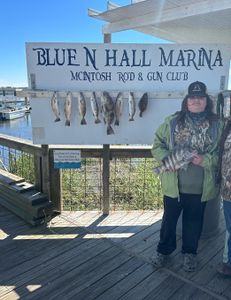 3 sheepshead, black drum, and redfish caught while fishing in Darien