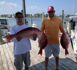 Red Snapper in Orange Beach, AL