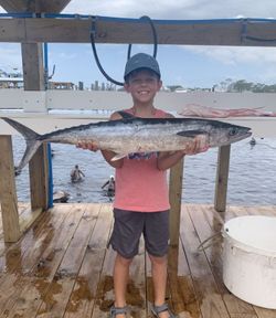 King Mackerel in Orange Beach, AL