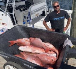 Red Snapper in Orange Beach, AL