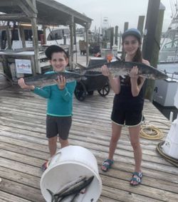 King Mackerel in Orange Beach, AL