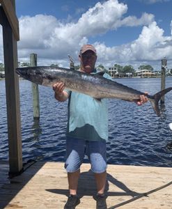 King Mackerel in Orange Beach, AL