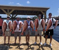 Red Snapper in Orange Beach, AL