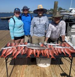 Vermilion Snapper in Orange Beach, AL