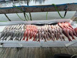 Angling in paradise in Orange Beach, AL!