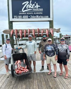 The Red Snapper are biting in Orange Beach!